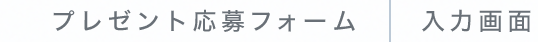 プレンゼント応募フォーム　|　入力画面